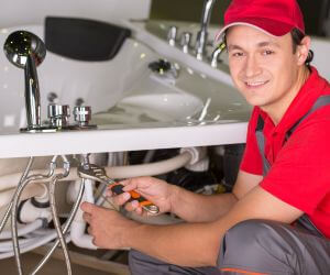About Plumbers Pros Locustdale, PA